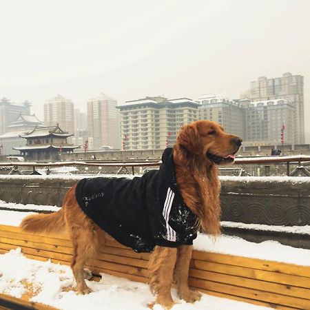 Jano'S Backpackers Xi'An Hostel Σιάν Εξωτερικό φωτογραφία